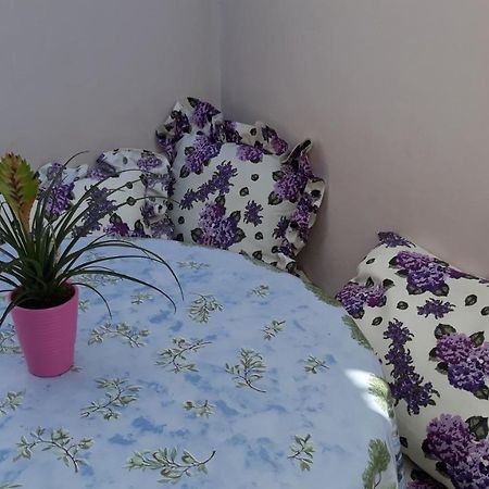 Mini Apartment Petra - Rooms Purple & Green With Kitchen And Garden ดูบรอฟนิก ภายนอก รูปภาพ